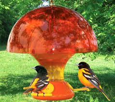 Best oriole feeders jcs wildlife oriole feeder 3000. Orange Oriole Feeder Cover