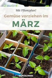 Aussaat Pflanzen Im Marz Beispiel Pflanzplan Der Fruhling Naht Und Du Mochtest Bereits Im Garten Loslegen Hier V In 2020 Planting Plan Plants Growing Vegetables