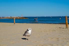Up to 90 days of daily highs, lows, and precipitation chances. Meteo Plage De L Albatros Palavas Les Flots 34250 Herault Previsions Meteo Plage Mer Et Marees La Chaine Meteo