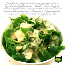 500 ml air untuk rebus. 30 Keratan Batang Bayam Brazil Sayur Sayuran Bermuda Tinggi Brazilian Spinach Cutting Quality Harvest Shopee Malaysia