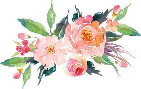 Floral Flower Bunch Watercolor By Madistoutland Acuarela Floral Dibujos Botanicos Flores Vintage Png