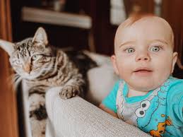 Ashley Hawk (@Bestillhawk) • Facebook