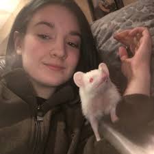 BEST of Colorado Springs, CO Veterinary