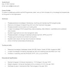 Studying programmer resume samples, like the examples below, will also allow you to gain a stronger. Sas Programmer Developer Free Resume Template
