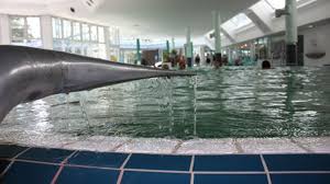 Mineralbad Cannstatt Alles Dreht Sich Ums Salz Bad Cannstatt Stuttgarter Nachrichten