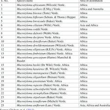Image result for Macrotyloma ellipticum