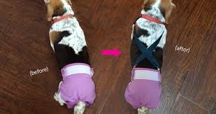This is part 2 of our diy on how to make your own pad or diaper for your dog. Makeshift Dog Diaper Off 70 Www Usushimd Com