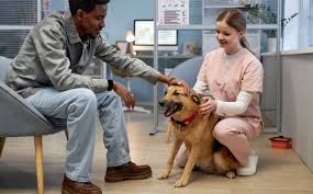 Why Client Education Is The Key to Veterinary Practice Growth | IDEXX  Software