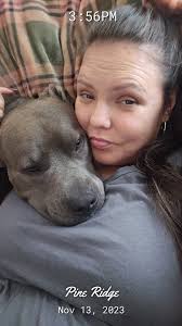 Lost French pug found at Meadow Glen apartments in Arizona