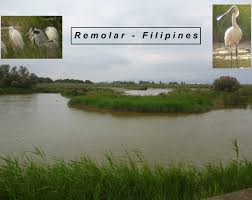 ILTRUENO: Delta del Llobregat: Remolar - Filipines