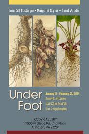 Margaret Saylor Botanical Art & Illustration