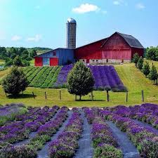 Gorgeous Country Barns Farm Barn Farm