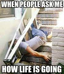 Pin On Funny Memes About Life