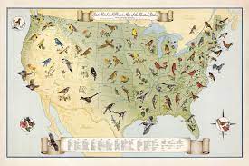 Check spelling or type a new query. Illustrated Map Of Us State Birds And Flowers 1965 Muir Way