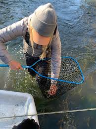 PNW Gal On The Fly – Thoughts | Reviews | Adventures