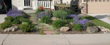 How To Care For Lawn With Little Water Xeriscape Landscaping Xeriscape Front Yard Small Yard Landscaping