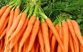 carrots ile ilgili görsel sonucu