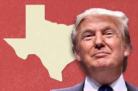 Hope as They Might, Democrats Don't See Trump Losing Texas