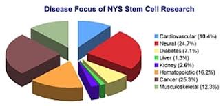 Pros To Stem Cells Treating Diseases Withstem Cell Research