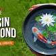 Resin Koi Pond Art - Kolkata event image