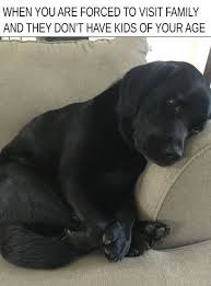 23 Memes That Are Too Real For Anyone With Indian Parents Funny Animal Memes Funny Animals Funny Animal Pictures