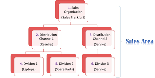 Sap Sd Organizational Structure Complete Guide Avas