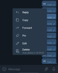 Now it will ask you to allow the details to click on the allow. Telegram S Latest Feature Is Perfect If You Don T Want To Leave A Trace