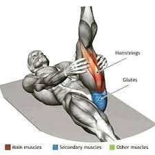 Apr 10, 2019 · hurdler hamstring stretch. How To Stretch Hamstring Physiotherapy Tool