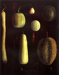 Iustracao De M Jarrie Para Une Cuisine Grande Comme Un Jardin Texto A Serres Rue Du Monde Ilustraciones Botanicas Arte Ilustraciones