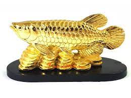 Arowana is a global b corp certified group that has a number of operating companies and investments, including in electric vehicles, renewable energy, vocational education, technology and software, road infrastructure services and impact asset management. Feng Shui Arowana On Coins S Feng Shui Fish