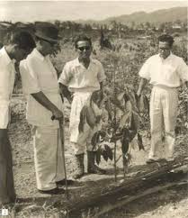 Dilahirkan pada 11 jun 1933 di muar, johor, beliau adalah puteri bongsu kepada seorang ahli politik negara. Tun Abdul Razak Pencetus Dan Penggerak Felda