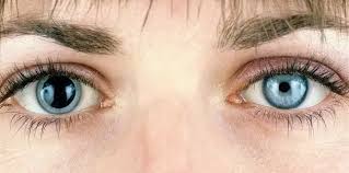 Image result for Pupil