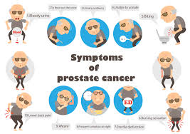 Prostate cancer prevention approaches include avoiding risk factors when possible, increasing protective factors, and chemoprevention. What Is Prostate Cancer Symptoms Causes Types Treatment