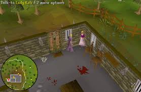 Today we will share its requirements, necessary items. Osrs Prince Ali Rescue Runescape Guide Runehq