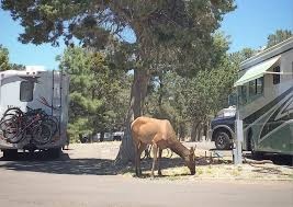 Erosion carved arches on sandstone, deep canyons, ancient rock. Campground Review 68 Grand Canyon Trailer Village Rv Park Grand Canyon National Park The Rv Atlas