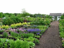 Visit our services page to see a sampling of the services we offer. How To Shop At An Independent Garden Center Hgtv