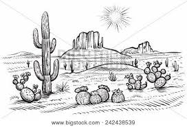 A cactus (plural cacti, cactuses, or less commonly, cactus) is a member of the plant family cactaceae, a family comprising about 127 genera with some 1750 known species of the order. Desert Landscape Vector Photo Free Trial Bigstock