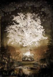 Garden Of Eden Tree Of Night Garden Illustration Eden Tree Garden Of Eden