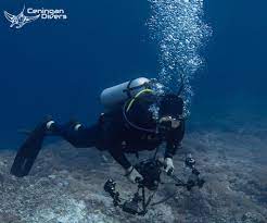 7 Tips And Tricks For Aspiring Underwater Photographers