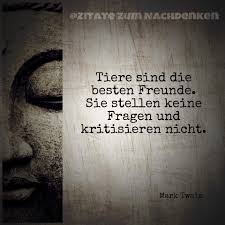Unsere 15 besten sprüche zum nachdenken. Zitate Zum Nachdenken Zitate Spruche Weisheiten Freunde Tiere Was Ich Gerade Lese Zum Thema Https Amzn To 2dxhy3z Facebook