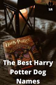 170 Of The Best Harry Potter Dog Names Labrottie Com