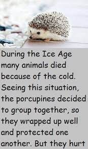 The Porcupines In 2021 Porcupine Inspirational Short Stories Life Choices Quotes