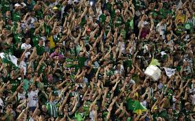 645,874 likes · 50,427 talking about this. Atletico Nacional Deklarasikan Chapecoense Sebagai Juara Copa Sudamericana Okezone Bola