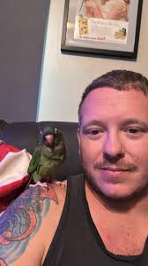 Our friends at Air Capital Aviaries still have a few Blue Crown Conure  Babies available