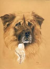Prismacolor can also be used on the suede board, but you must go lightly. What Are Some Of Your Best Drawings Using Prismacolor Colored Pencils Quora
