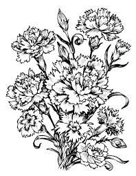 Fghfgh Beautiful Flower Drawings Carnation Drawing Flower Drawing