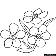 Download printable fifi forget me not coloring page. Image Result For Forget Me Nots Drawing Flower Coloring Pages Online Coloring Pages Flower Drawing