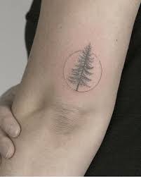 Dainty Pine Tree Tattoo Pine Tattoo Tree Tattoo Small Simple Tree Tattoo