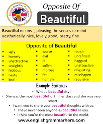 Opposite Of Beautiful Antonyms Of Beautiful Meaning And Example Sentences Antonym Opposite Words Contradict Each Other And Opposite Words Antonyms Sentences