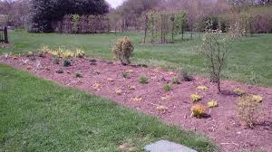 We did not find results for: The Best Time To Plant Perennials Dengarden